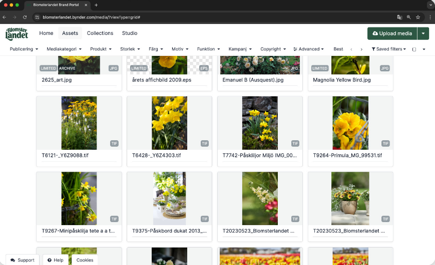Blomsterlandet sortiment vy